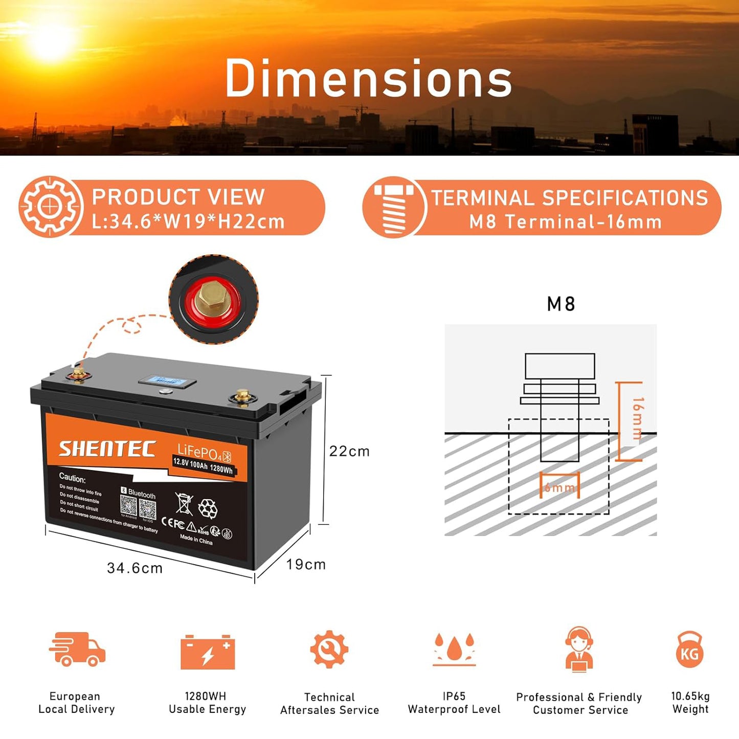 SHENTEC LiFePO4 12V 100Ah Rechargeable Lithium Battery